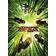 The LEGO Ninjago Movie [DVD + Digital Download] [2017]